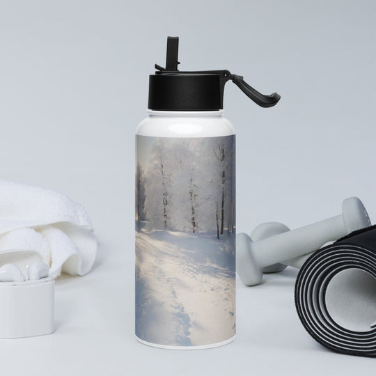 Stainless steel water bottle with a straw lid - WhatUWant2Buy