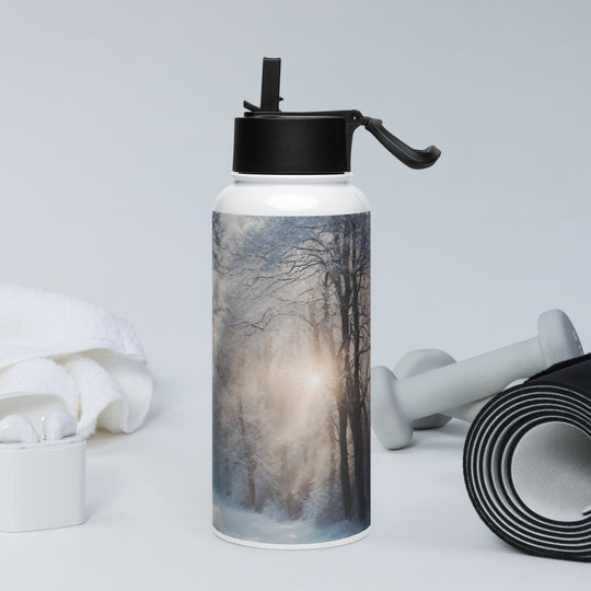 Stainless steel water bottle with a straw lid - WhatUWant2Buy