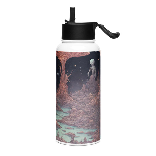 Stainless steel water bottle with a straw lid - WhatUWant2Buy