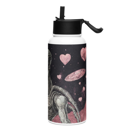 Stainless steel water bottle with a straw lid - WhatUWant2Buy
