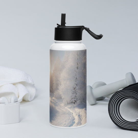 Stainless steel water bottle with a straw lid - WhatUWant2Buy