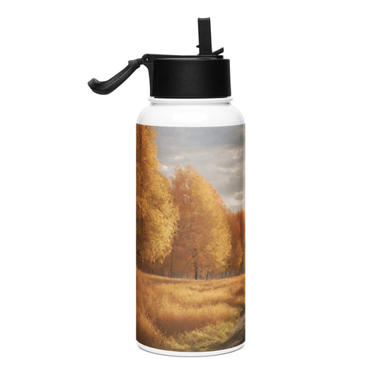 Stainless steel water bottle with a straw lid - WhatUWant2Buy