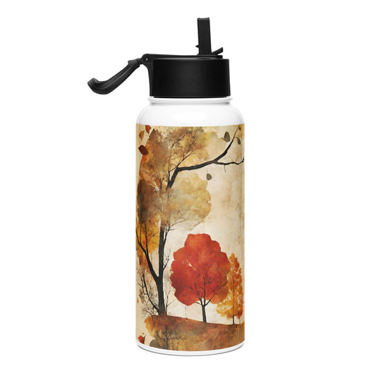 Stainless steel water bottle with a straw lid - WhatUWant2Buy