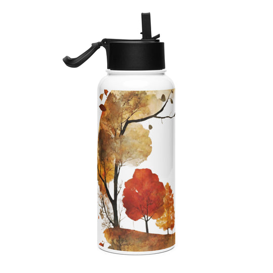 Stainless steel water bottle with a straw lid - WhatUWant2Buy