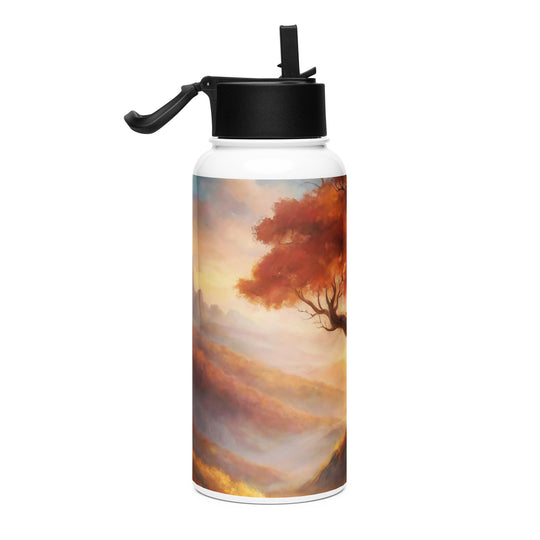 Stainless steel water bottle with a straw lid - WhatUWant2Buy