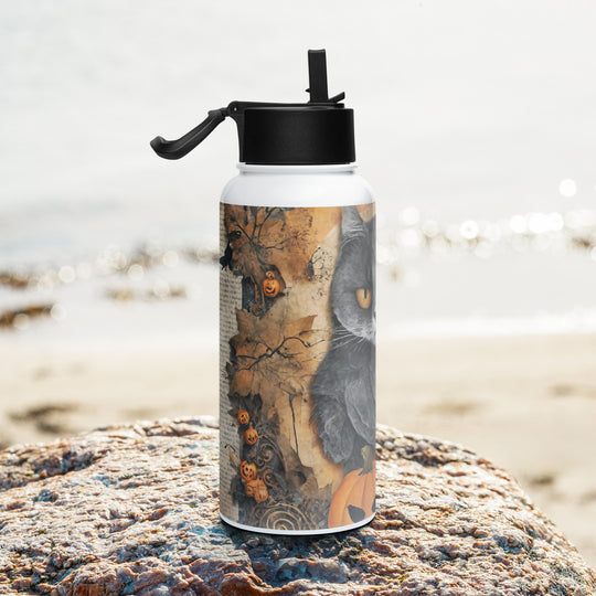 Stainless steel water bottle with a straw lid - WhatUWant2Buy