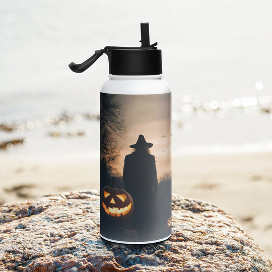 Stainless steel water bottle with a straw lid - WhatUWant2Buy