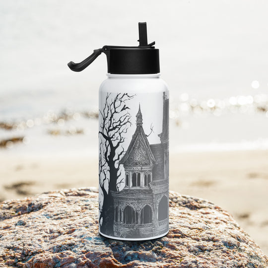 Stainless steel water bottle with a straw lid - WhatUWant2Buy