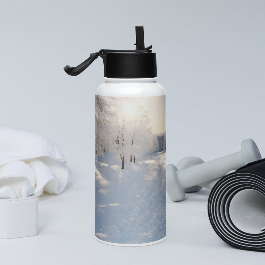 Stainless steel water bottle with a straw lid - WhatUWant2Buy