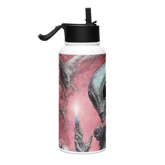 Stainless steel water bottle with a straw lid - WhatUWant2Buy