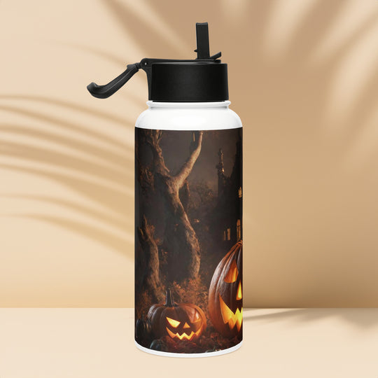 Stainless steel water bottle with a straw lid - WhatUWant2Buy