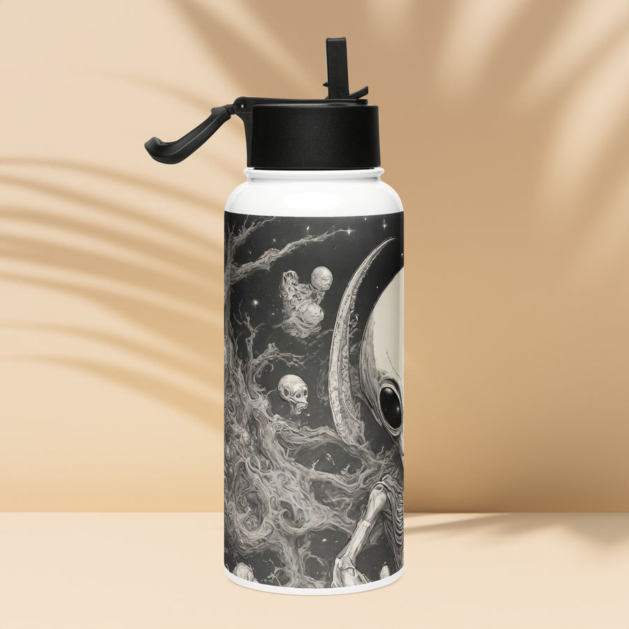 Stainless steel water bottle with a straw lid - WhatUWant2Buy