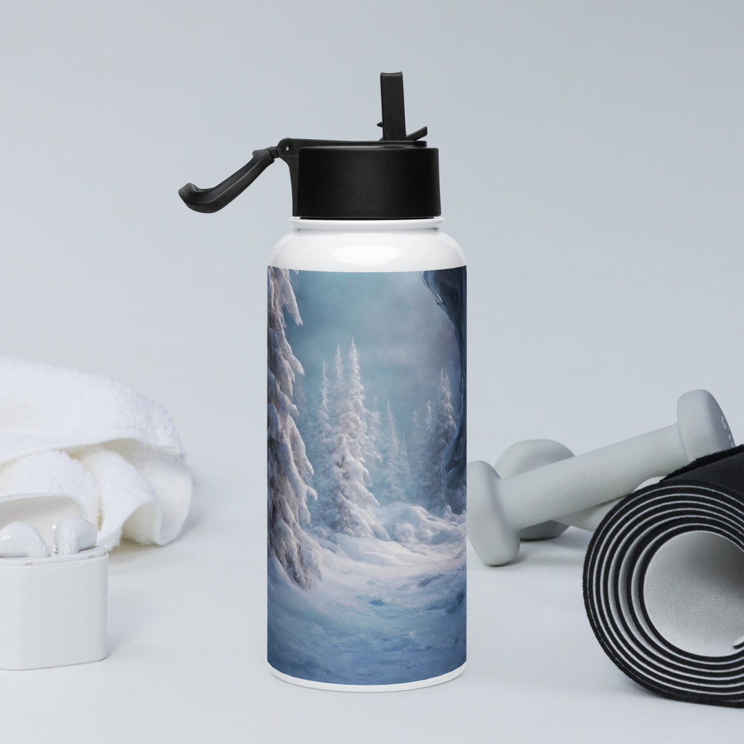 Stainless steel water bottle with a straw lid - WhatUWant2Buy