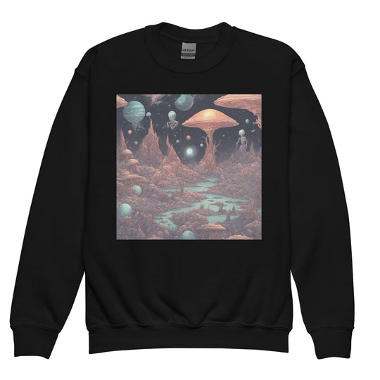 Youth crewneck sweatshirt - WhatUWant2Buy