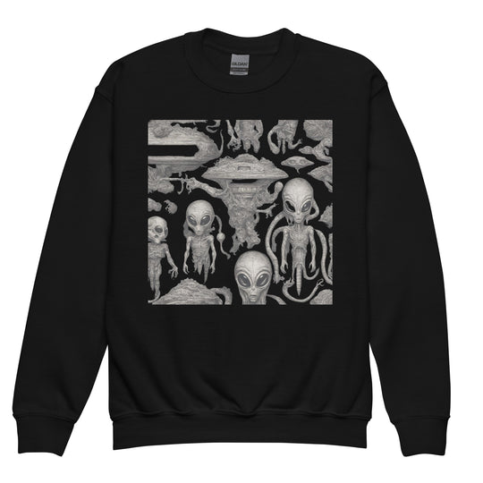 Youth crewneck sweatshirt - WhatUWant2Buy