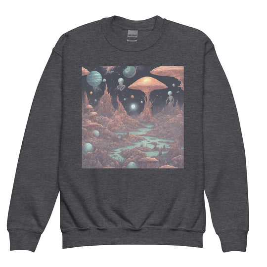 Youth crewneck sweatshirt - WhatUWant2Buy