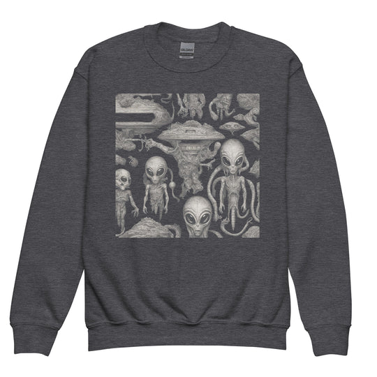 Youth crewneck sweatshirt - WhatUWant2Buy