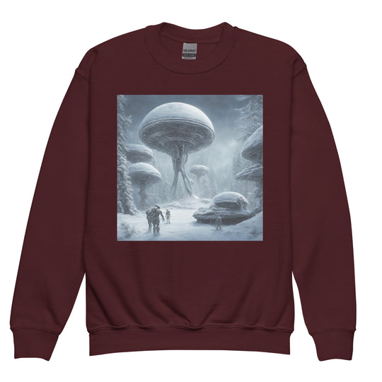 Youth crewneck sweatshirt - WhatUWant2Buy