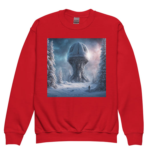 Youth crewneck sweatshirt - WhatUWant2Buy