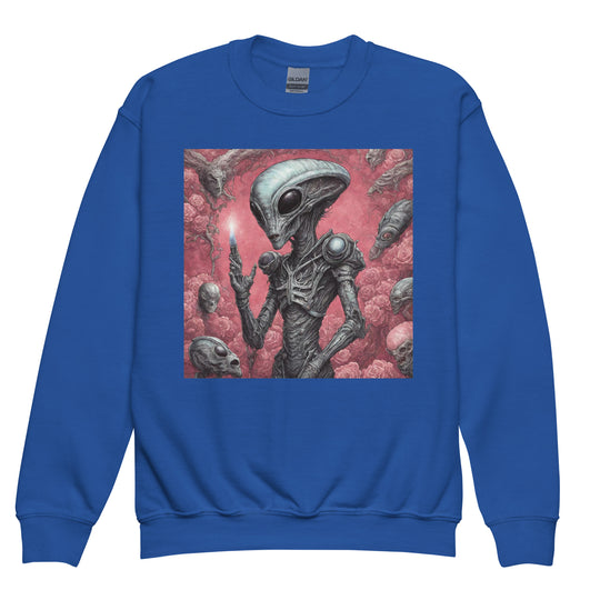 Youth crewneck sweatshirt - WhatUWant2Buy