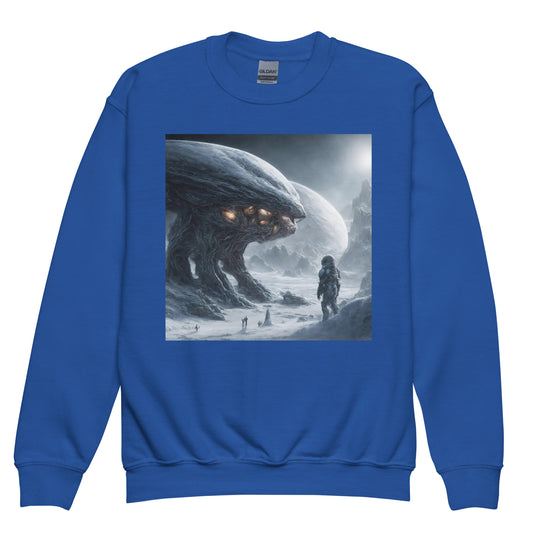 Youth crewneck sweatshirt - WhatUWant2Buy