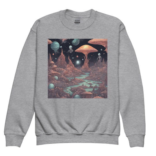 Youth crewneck sweatshirt - WhatUWant2Buy