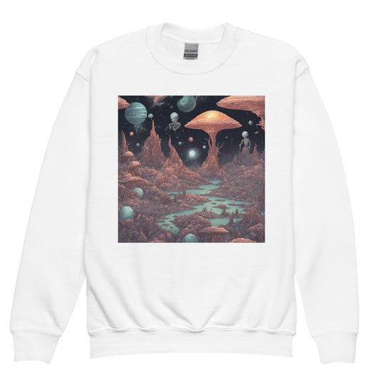 Youth crewneck sweatshirt - WhatUWant2Buy