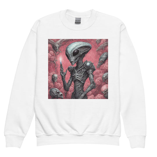 Youth crewneck sweatshirt - WhatUWant2Buy